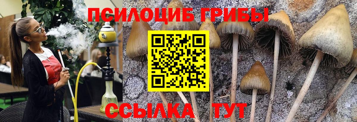 Галлюциногенные грибы Cubensis  Вход с VPN  Галлюциногенные грибы GOLDEN TEACHER  Сегежа 