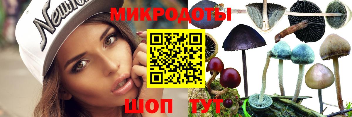 Галлюциногенные грибы мицелий Сегежа